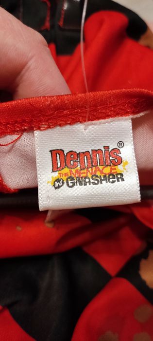 Costum bal mascat Dennis pericol public