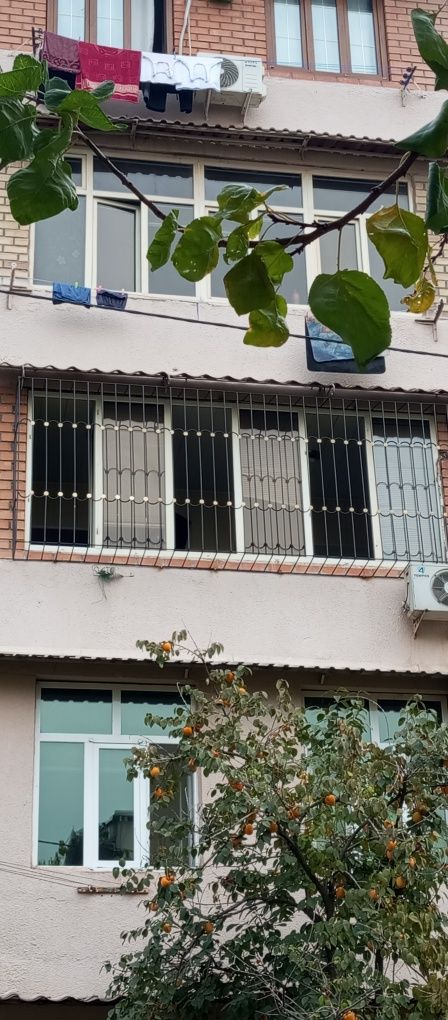 Rishotka, naves, perila, agrajdeniya va barcha turdagi sivarka xizmatl