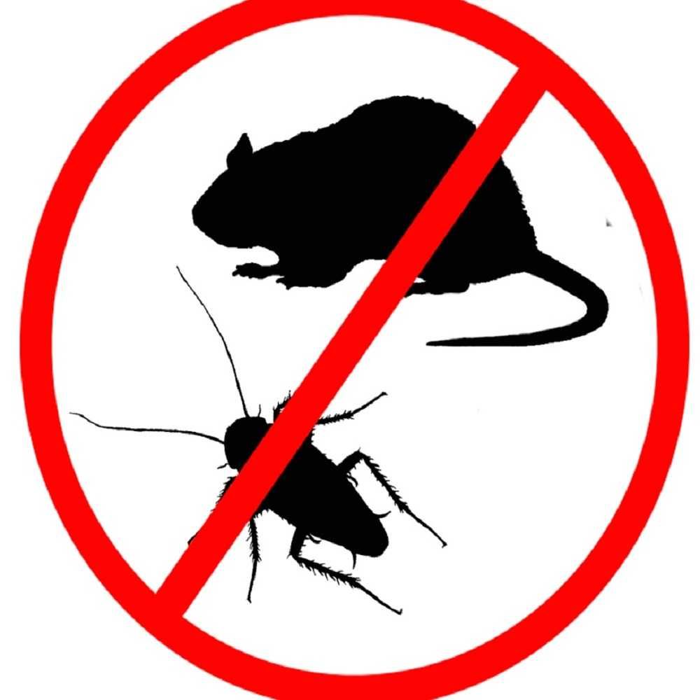 Уничтожение блох, клопов, тараканов, вирусов, запахов, плесени, мышей.