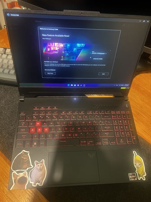 Asus TUF A15 FA507 | RTX 4060 | AMD Ryzen 5 7535HS