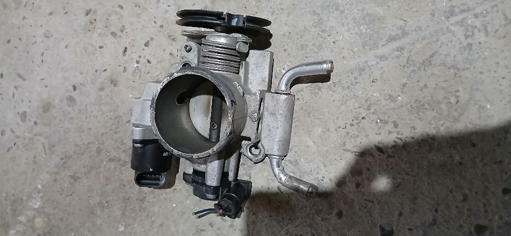 Zasulonka neksiya gibrid