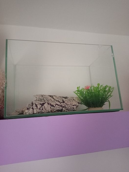 Acvariu 10 litri