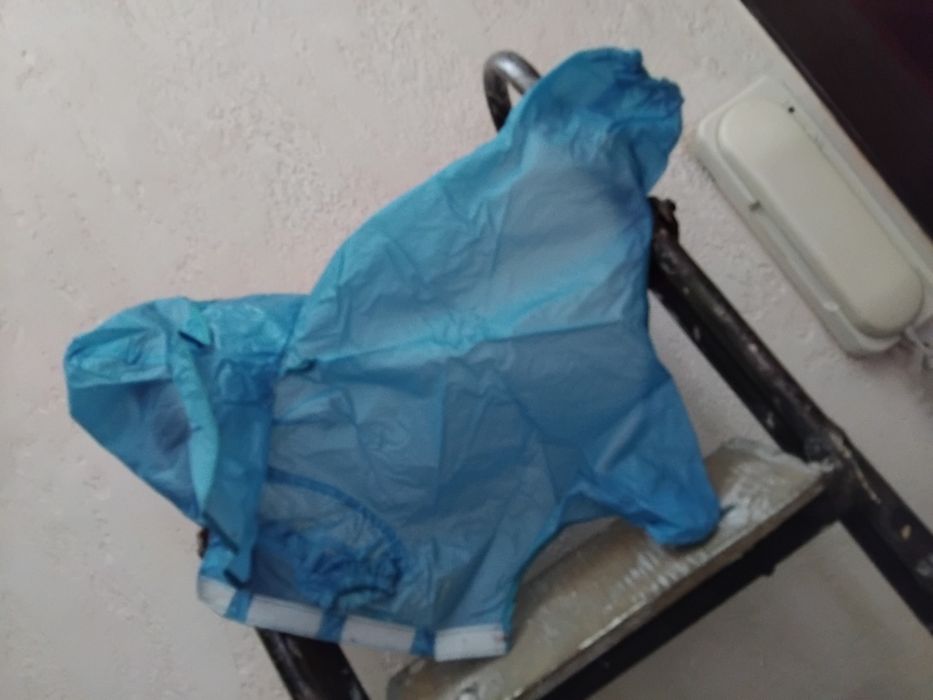 Одежда для животных