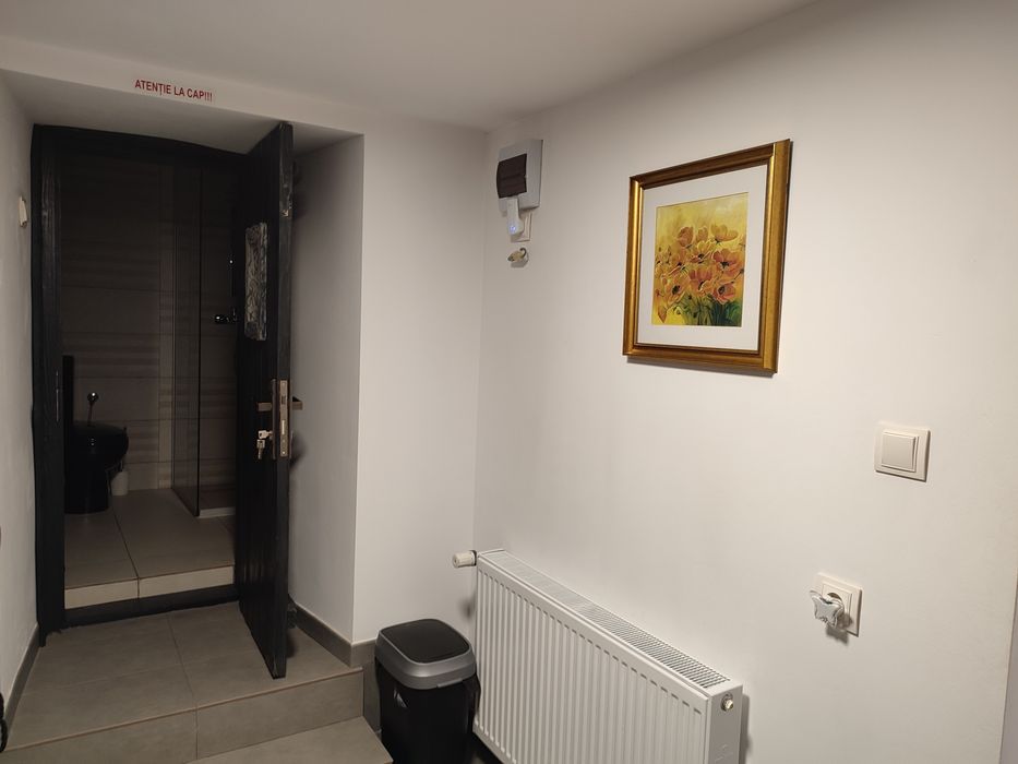 Apartament (cameră de familie) in regim hotelier