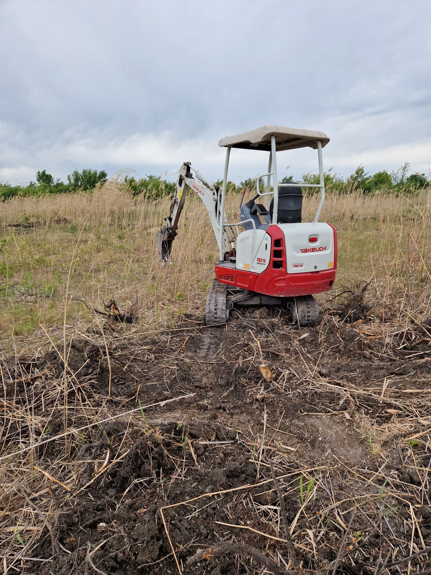 Lucrari miniexcavator