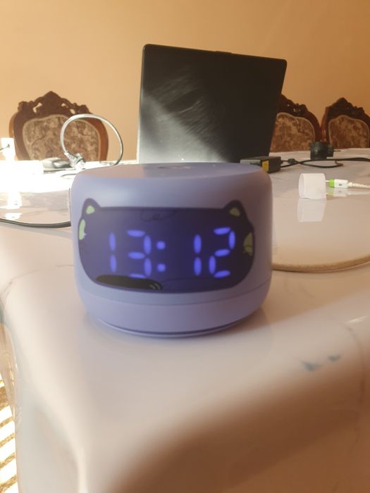 Алиса жағдайы жақсы