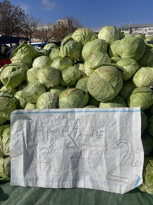 Varza de vanzare
