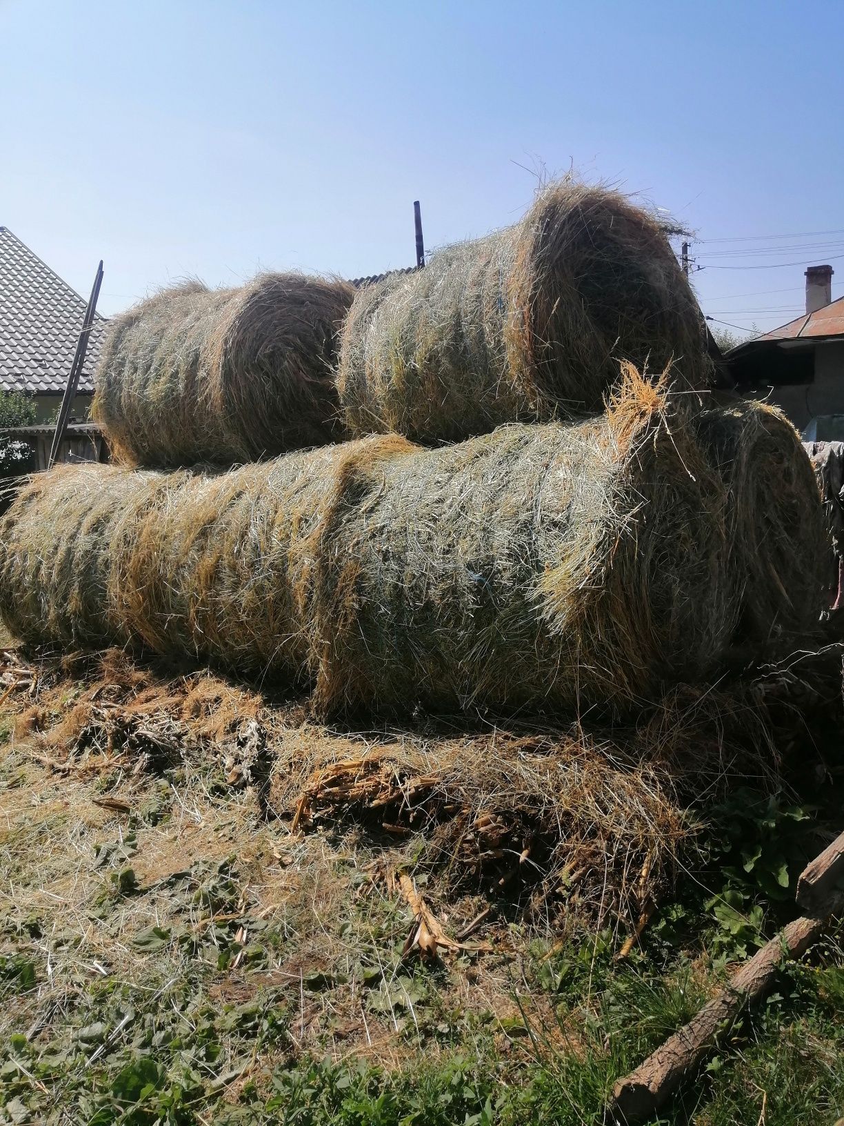 Vând baloți de fân.