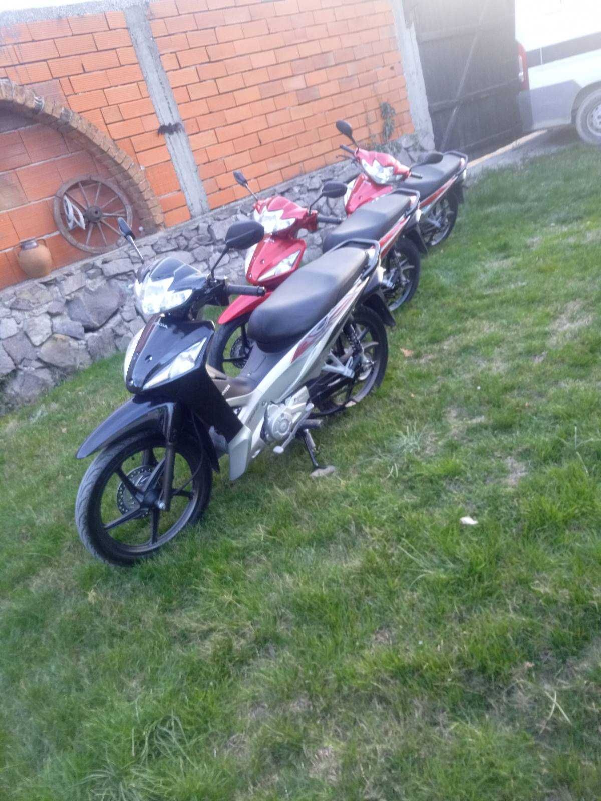 Honda WAVE 110cc