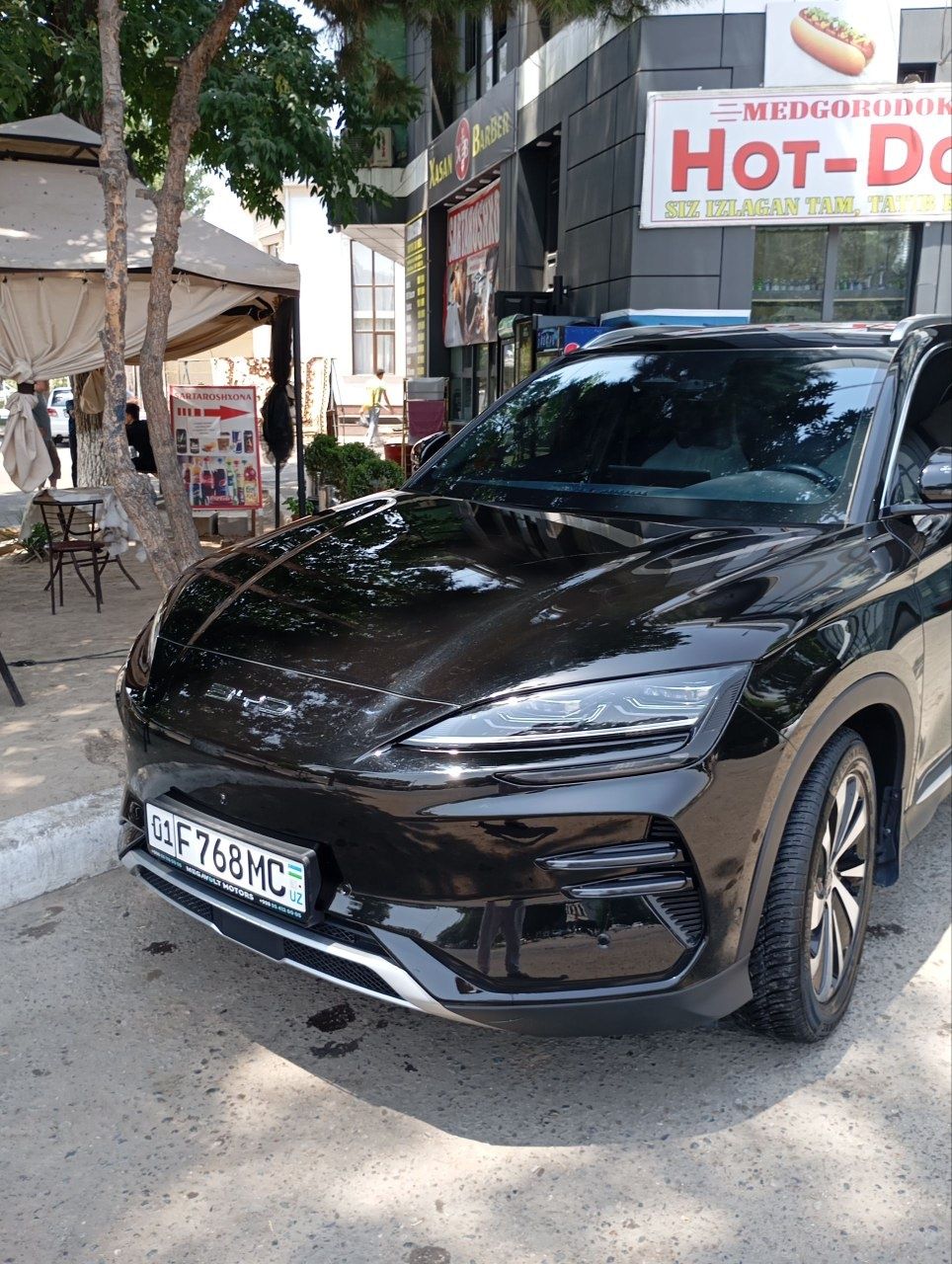 Автомобил bvd chempion