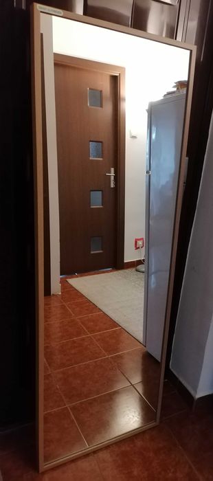 Oglindă 50 x 150 cm