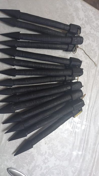 Түйеге мұрындықтар