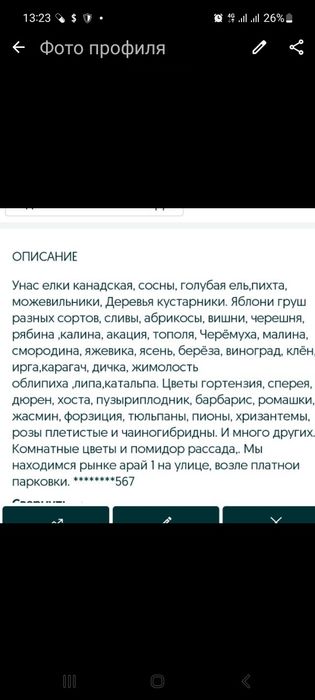 Плодовые деревья местные зимостоики, разных сортов,