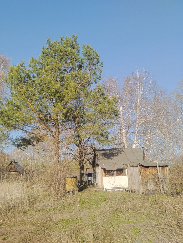 Продам дачу летнего варианта