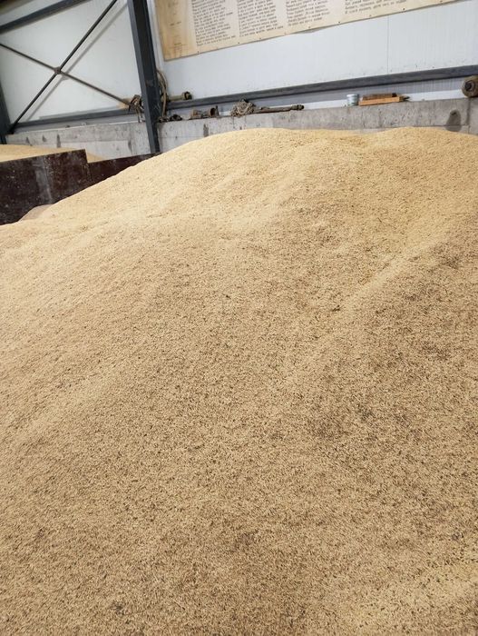 Продавам ОВЕС  реколта2025г. Напълнен в чували  по 30кг.цена 0.40ст/кг