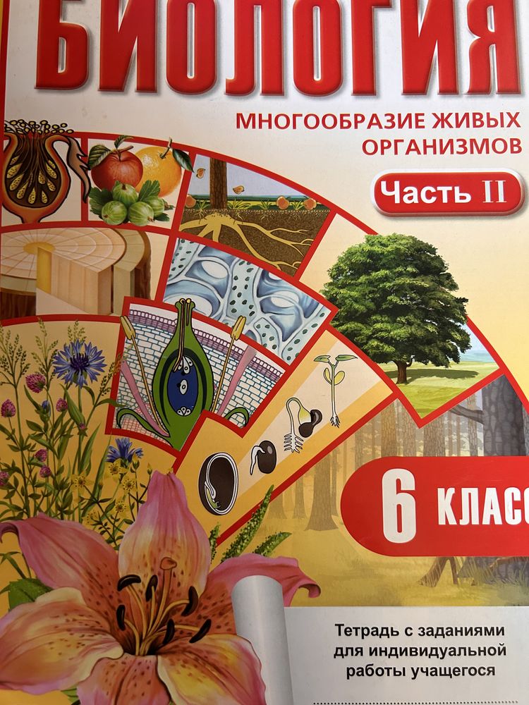 Атласы для 6 класса