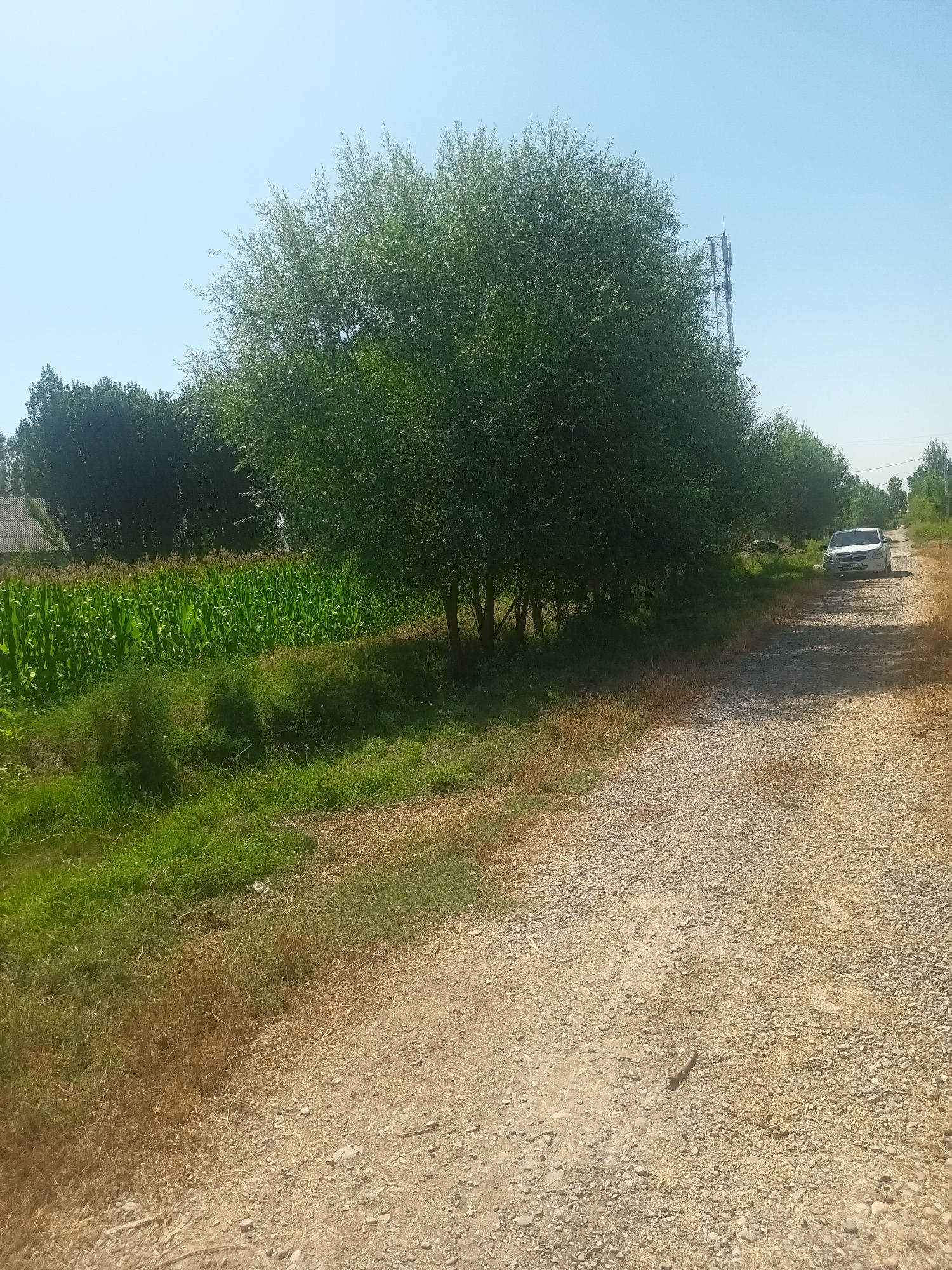 11 sotxli uchastka