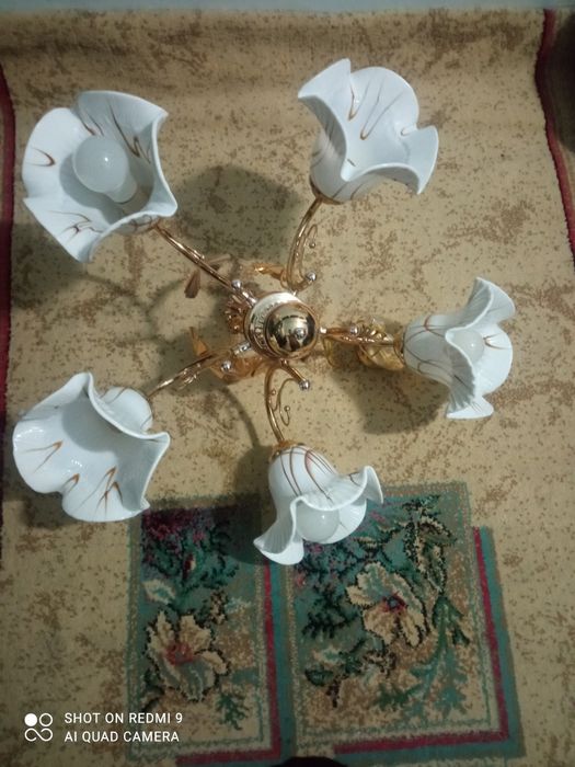 Qandil lustura ko'p ishlatilmagan