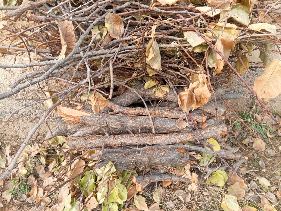 Внимание акция Диккат акция Утсин сотилади Кишни совук кунларига утсин