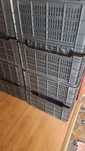 Lazi plastic 15bucati la 35kg