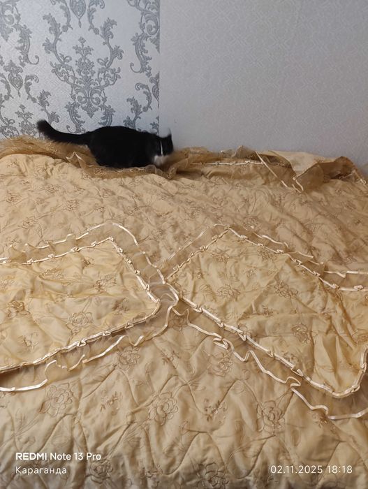 Отдам покрывало и две наволочки