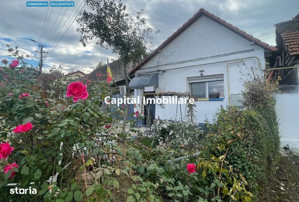 Casa cu garaj in Calnic, 231 mp construiti