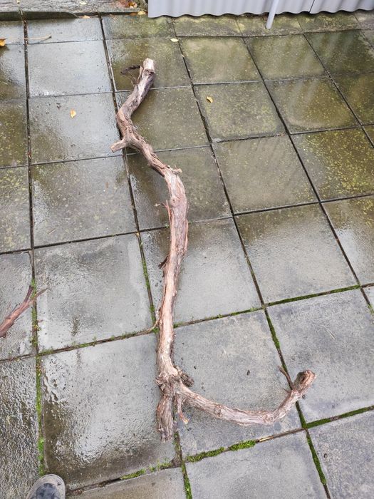 Lemn decor pentru acvariu