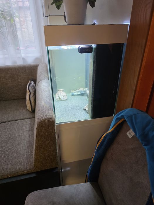 Acvariu juwel 120 litri