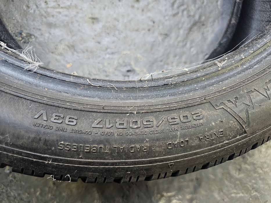 205 50 17 m+s dunlop