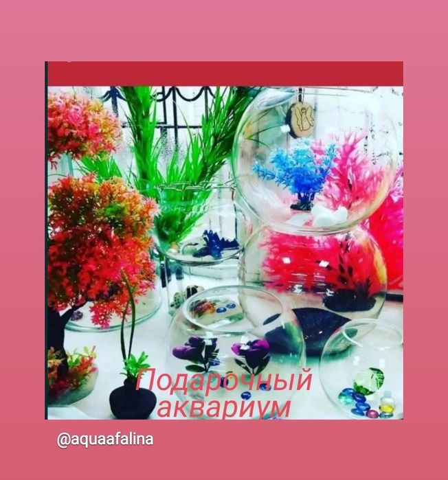 Аквариум подарок-круглый. р-н ул.Навои-Торайгырова