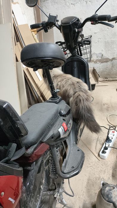 Электронный велосипед