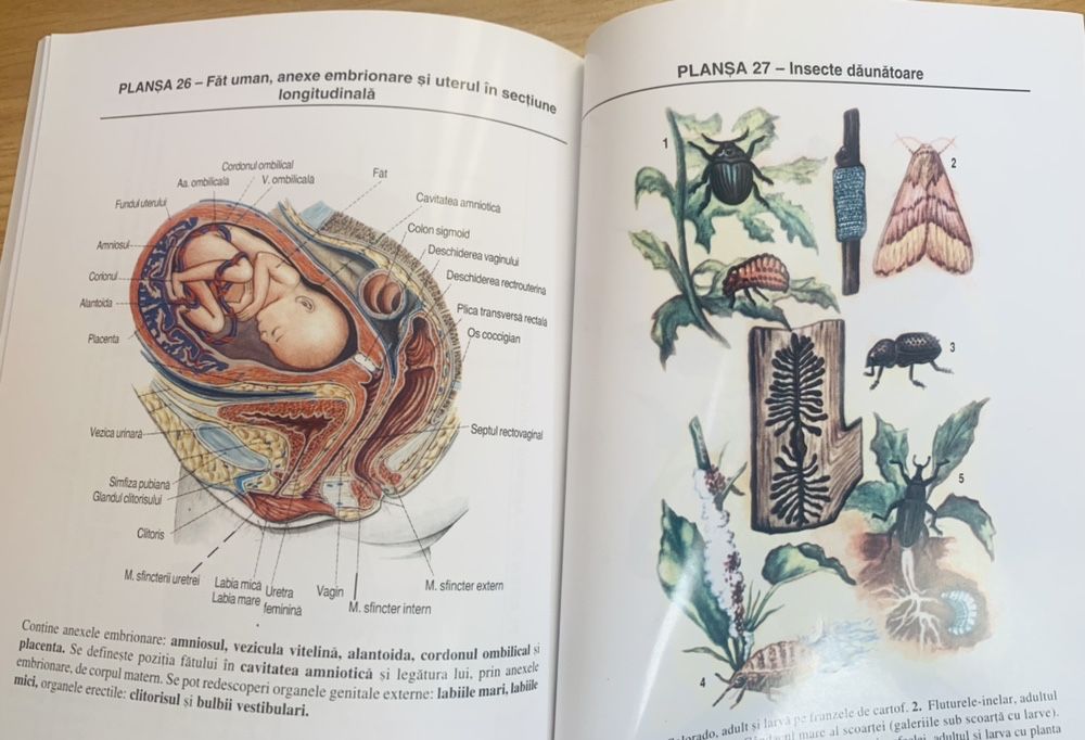 Dictionar nou biologie cu planse si ilustratii