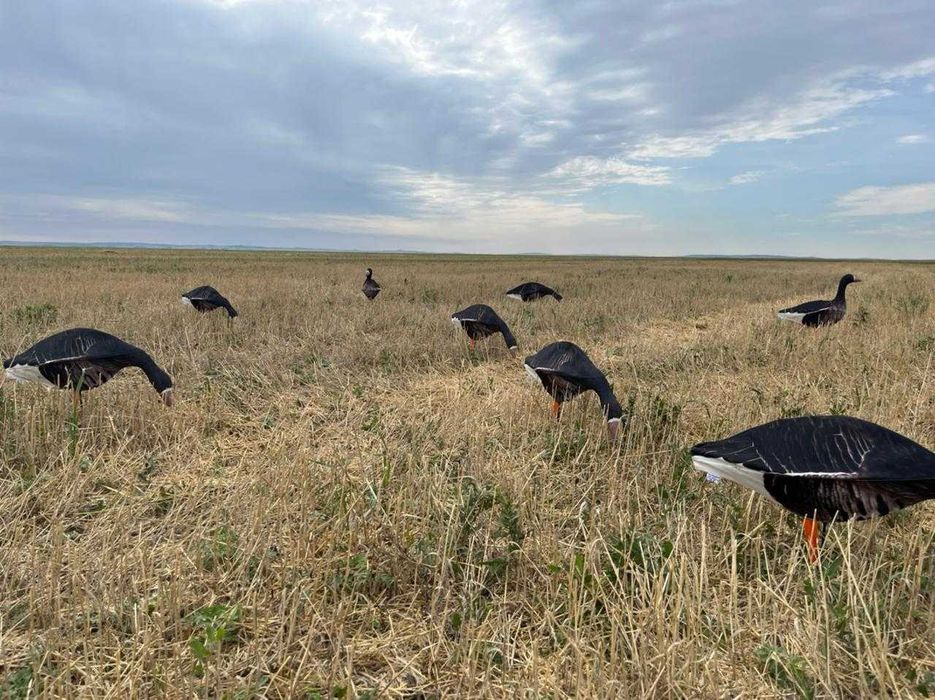 Профиля гусей для охоты