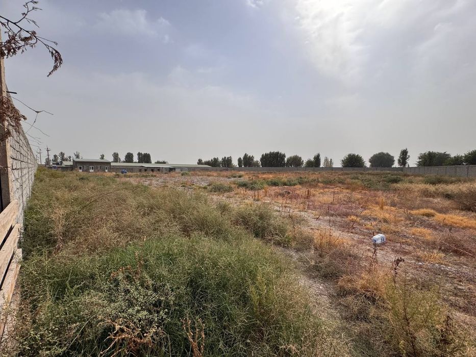 Toshkent viloyati Chinoz tumani Noturar yer