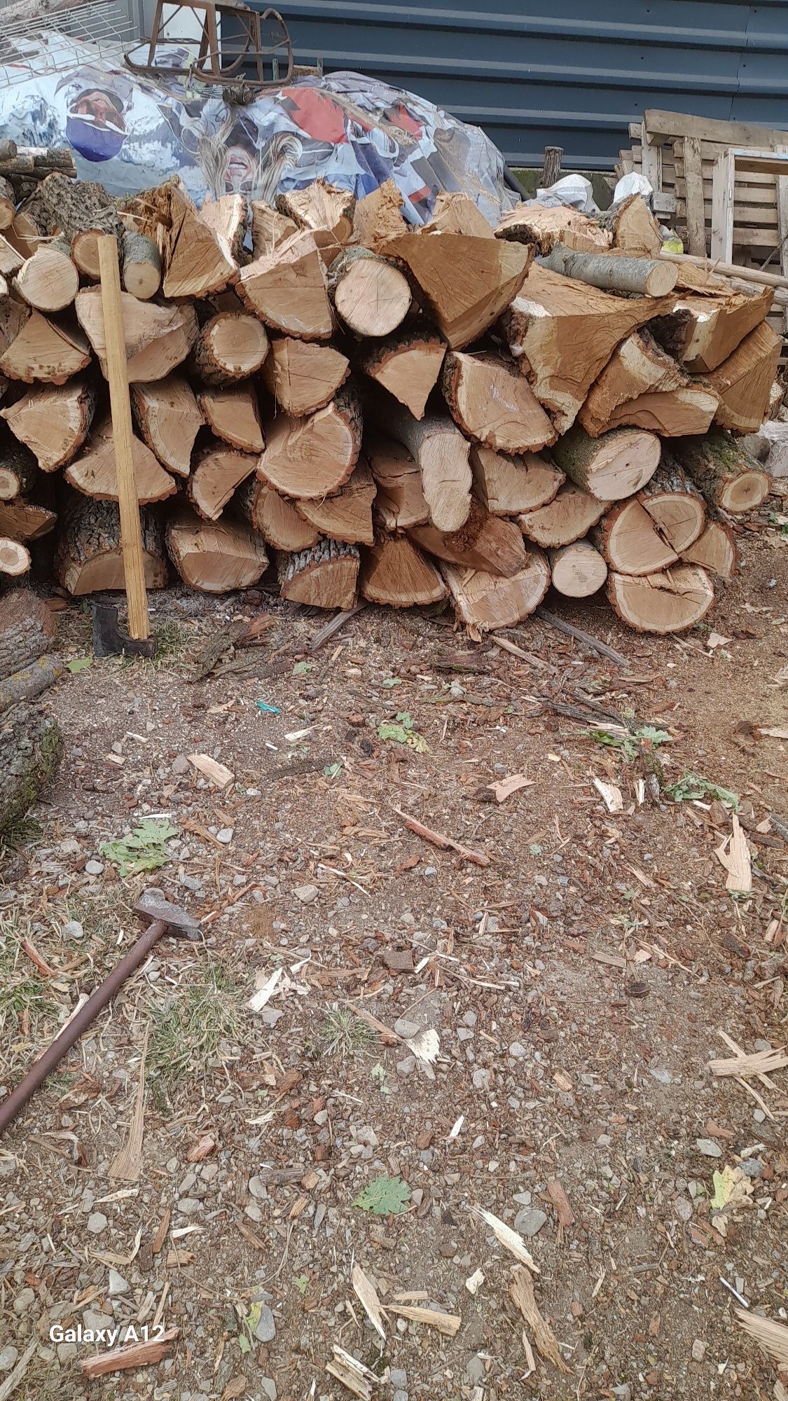 Vând lemne De Foc Eseta Stejar
