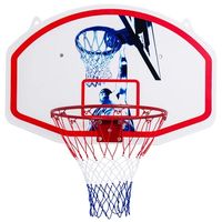 Баскетбольный щит M6 с кольцом