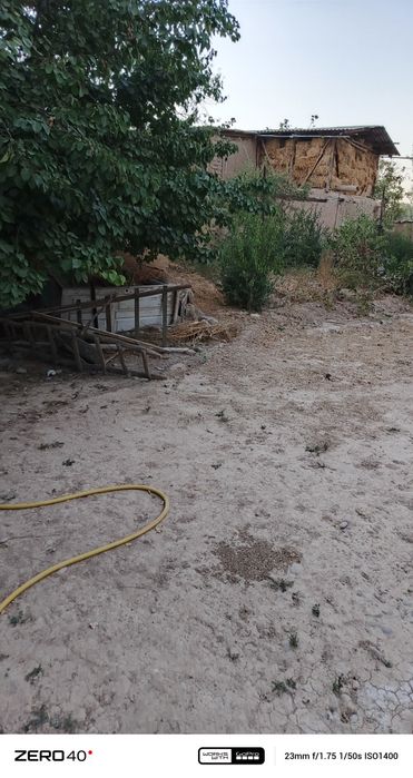 Keb korila yahwi joyla qishlogimz