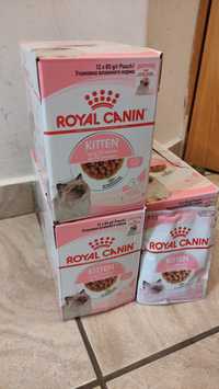 Royal Canin Kitten 12x85 mancare umeda pisoi