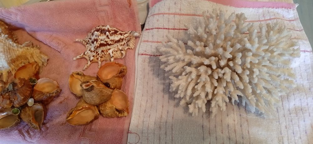 Для аквариума аксессуар смотрите фото