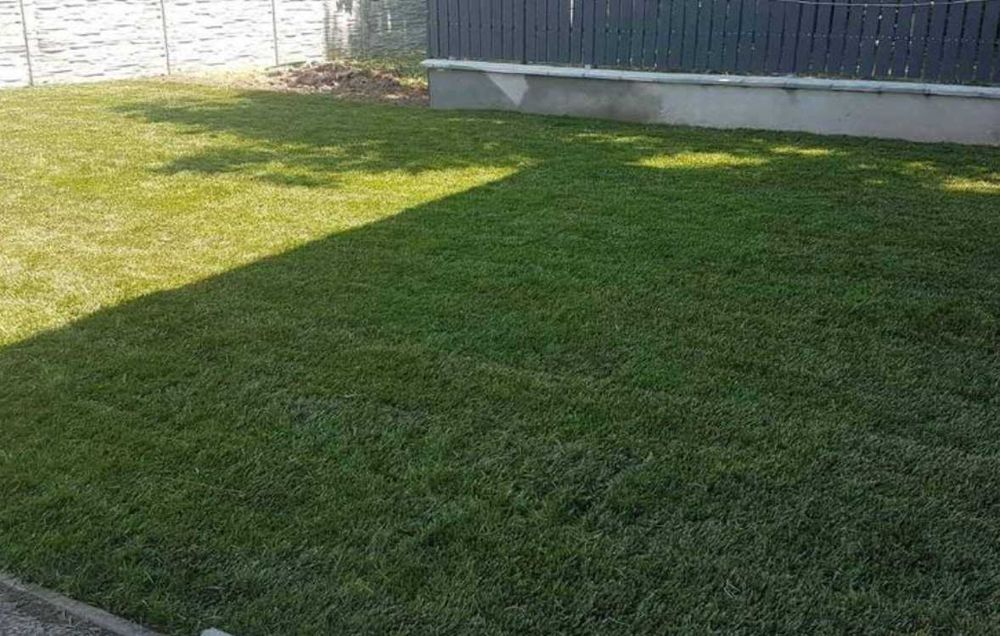 Gazon Rulou Sisteme de Irigare Si Insamantare