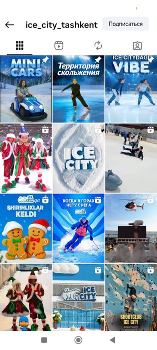 Ледовый каток Frozen Lake