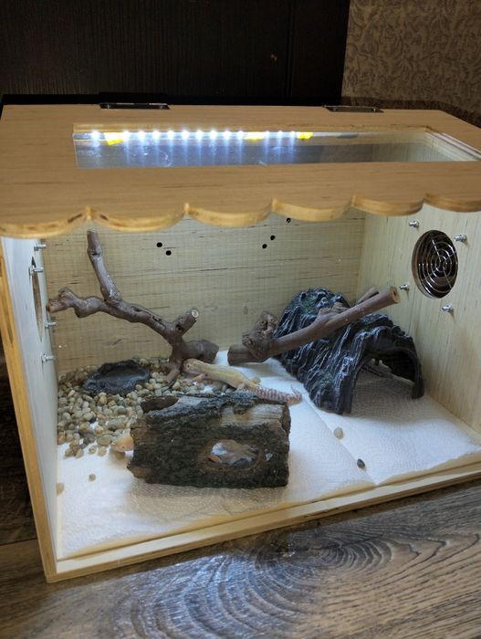 Террариум для рептилий