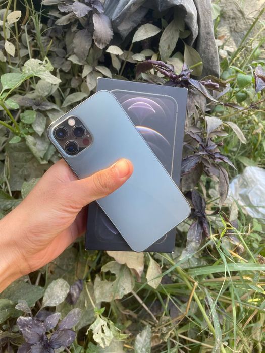 Iphoni 12 pro 5g LLA