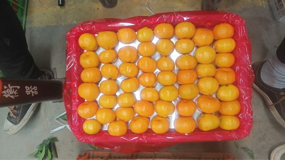 Мандарины оптом Китай