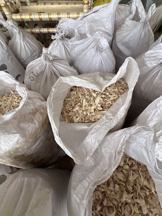 Apilka ,qipuq ,(Опилка) Tol darahtniki