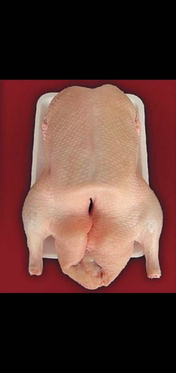 Мясо домашних гусей