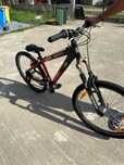 Biciclete adulți/copii