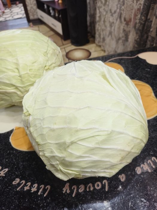 Продам капусту МЕГАТОН!!!