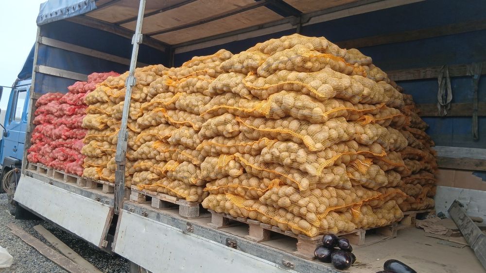 Cartofi de animale si de consum