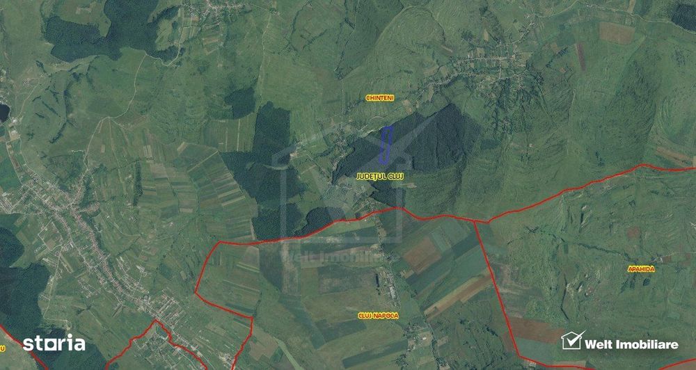 29.000 mp padure in Padureni (Chinteni), 100% material lemnos